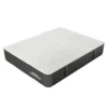 DORSOPEDIC GENIUS SERIE 15